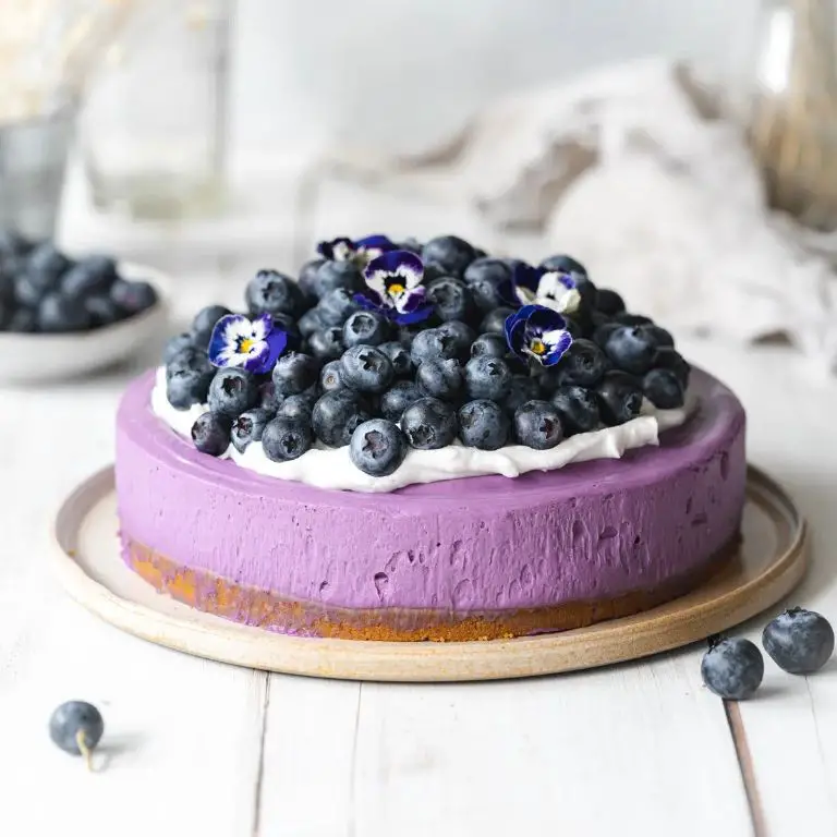 Vegan Blueberry Cheesecake with Cashew Base
