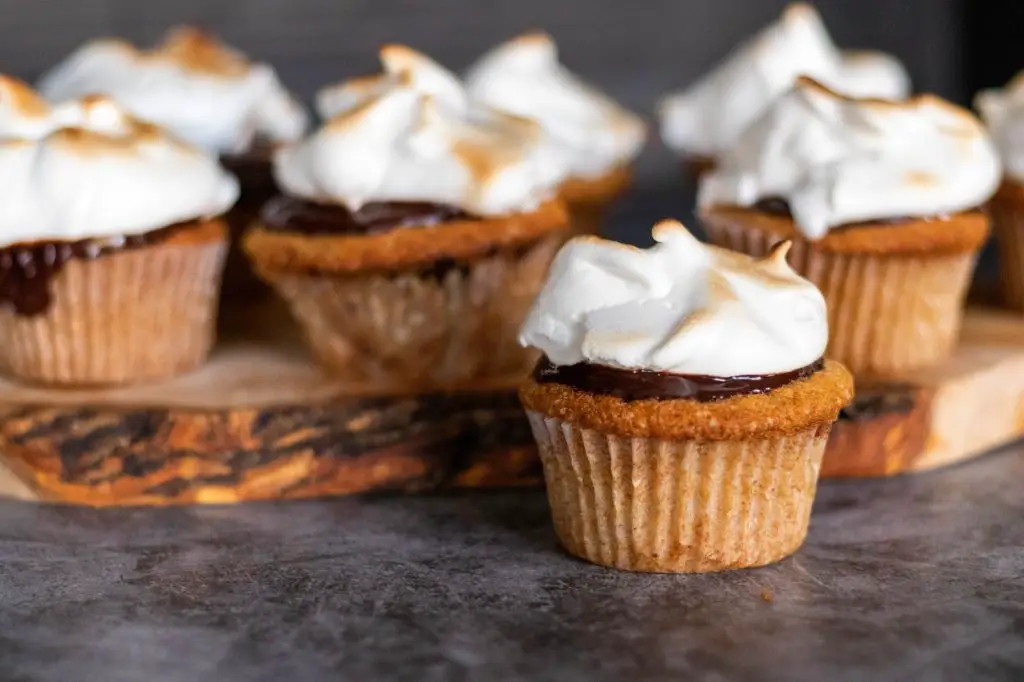 Vegan Smores Cupcakes with Coconut Whipped Cream
