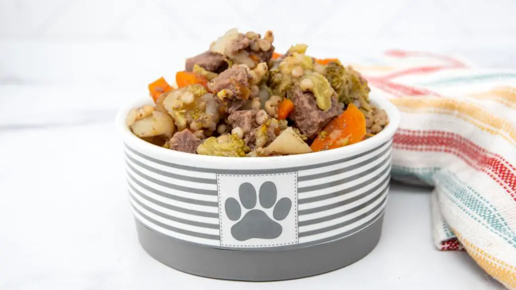 Venison and Carrot Dog Dish