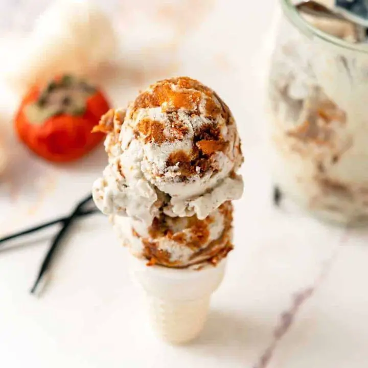 Wild Persimmon and Vanilla Ice Cream