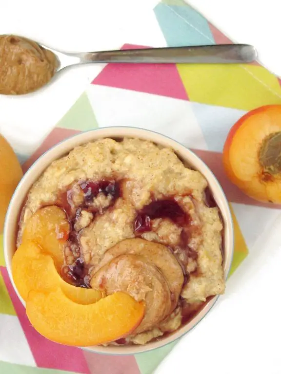 Apricot and Oatmeal Puree