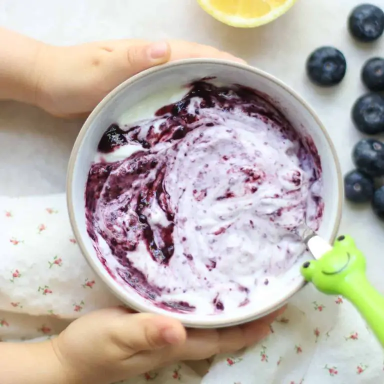Blueberry and Yogurt Blend