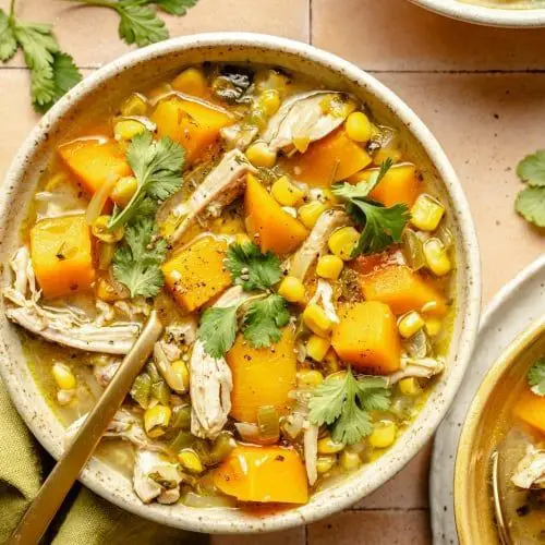 Butternut Squash and Chicken Soup