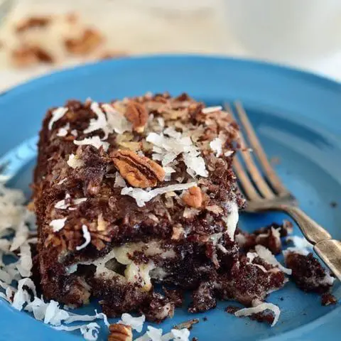 Chocolate Coconut Dump Cake