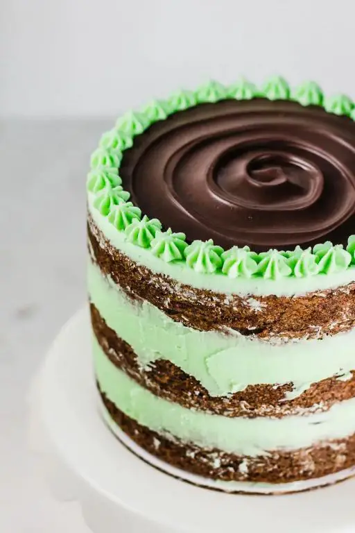 Chocolate Mint Brownie Cake