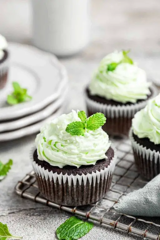 Chocolate Mint Cupcakes with Buttercream Frosting