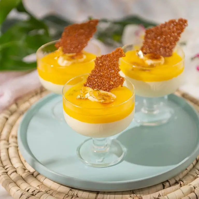 Coconut Cream Mousse with Mango Coulis