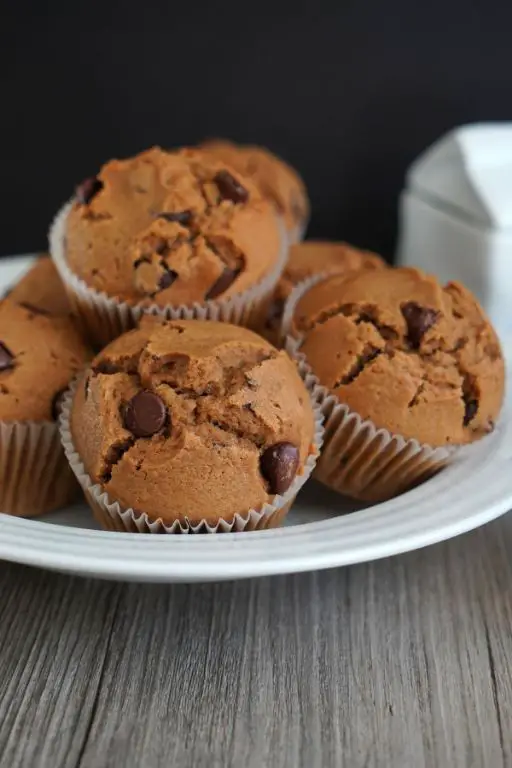 Espresso Chocolate Chip Mini Cupcakes