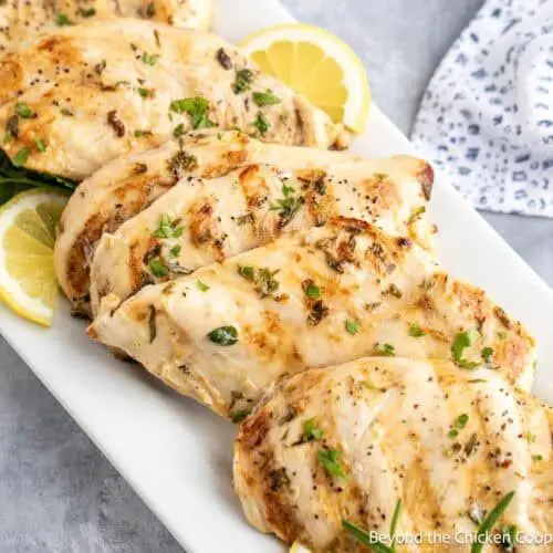 Grilled Lemon Herb Beyond Body Chicken