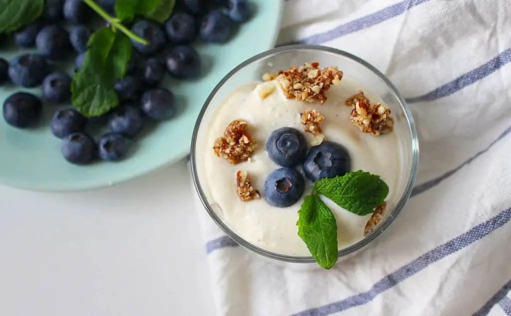 Irish Moss and Blueberry Parfait
