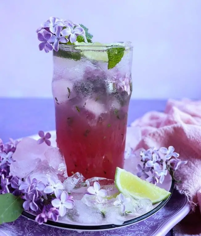 Lilac Sorbet with Mint Garnish