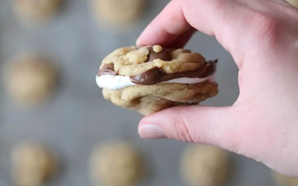 Marshmallow Fluff and Nutella Sandwich Cookies