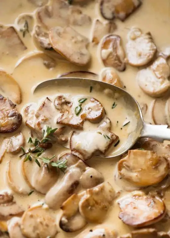 Mushroom Cream Sauce