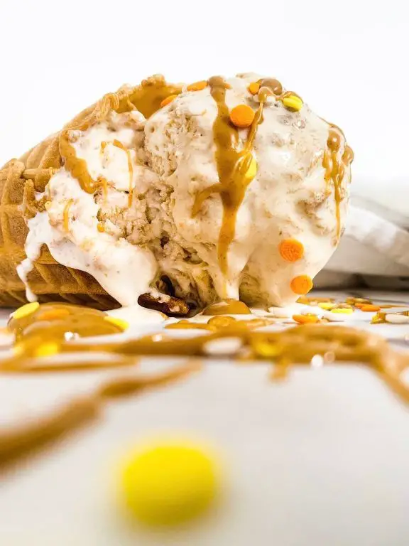 Peanut Butter Swirl Koji Ice Cream