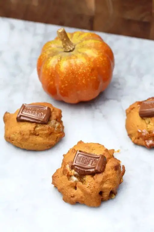 Pumpkin Spice Air Fryer Cookies for Fall