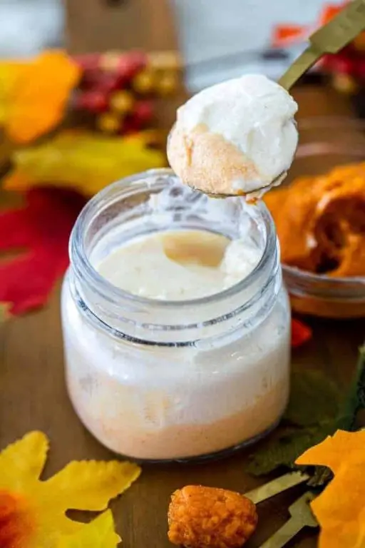 Pumpkin Spice Instant Pot Yogurt
