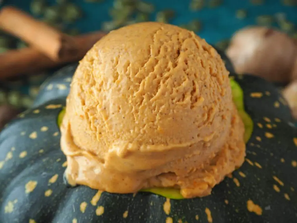 Pumpkin Spice Koji Ice Cream