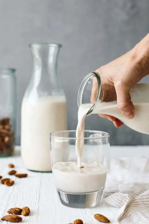 Sea Moss and Almond Milk Latte