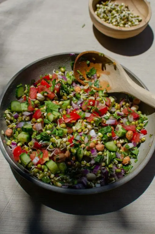 Spicy Sprouted Moong Salad