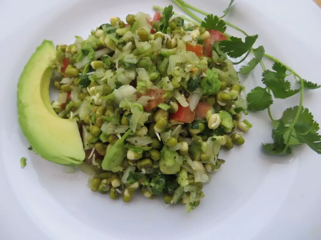 Sprouted Moong and Avocado Wrap