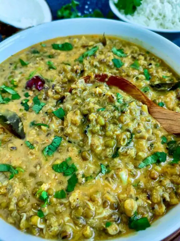 Sprouted Moong and Coconut Curry