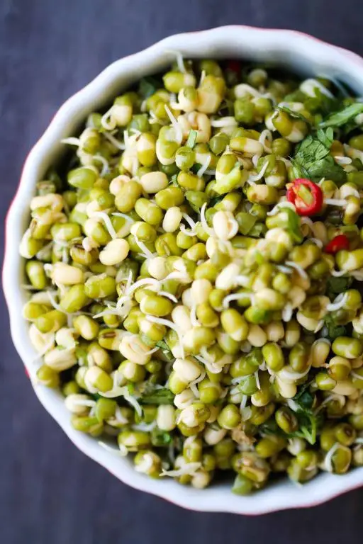 Sprouted Mung Bean Salad with Lemon Dressing