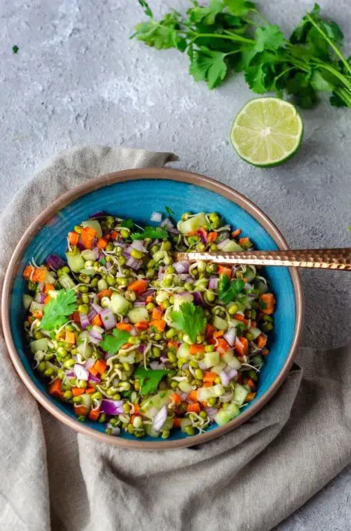Sprouted Mung Bean and Cucumber Raita