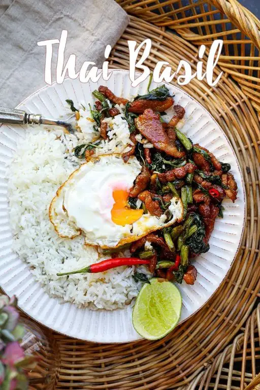 Thai Basil Pork Belly Fried Rice