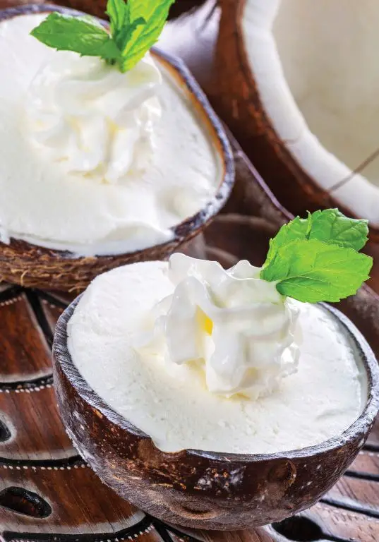 Thai Coconut Milk Ice Cream Vegan