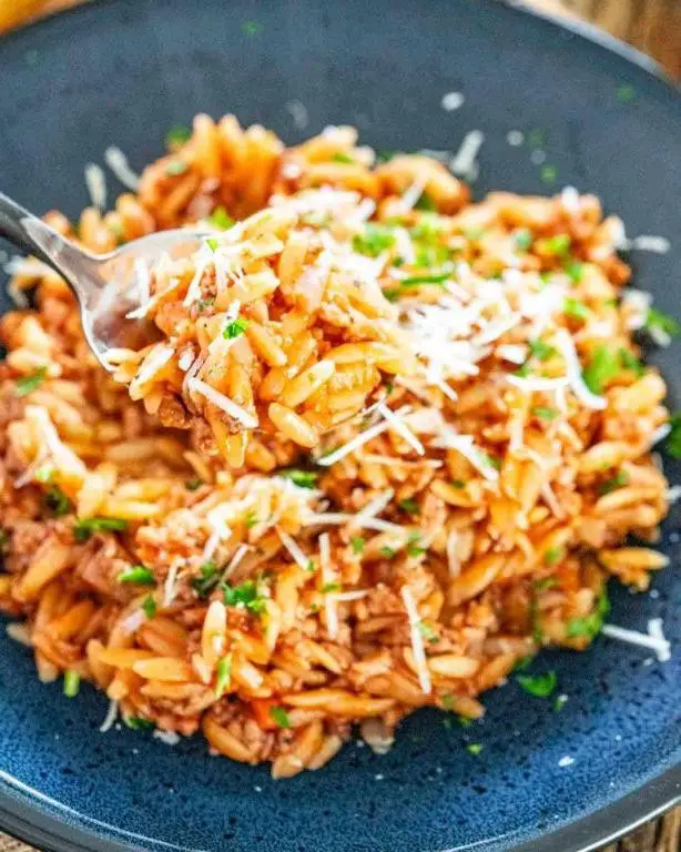 Tomato Basil Pork Chop Skillet with Orzo