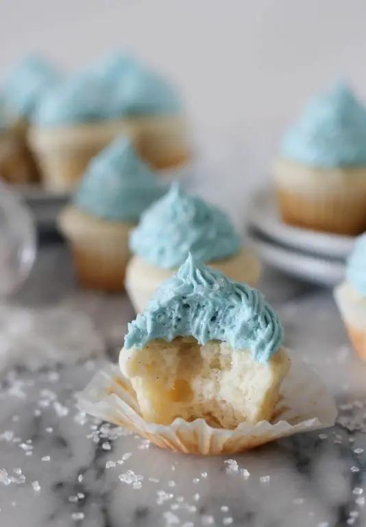Vanilla Bean Mini Cupcakes with Buttercream Frosting