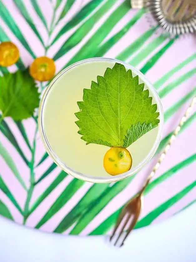 Calamansi Hard Lemonade