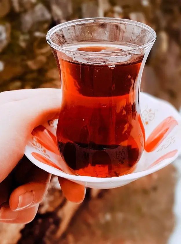 Sorrel Toddy