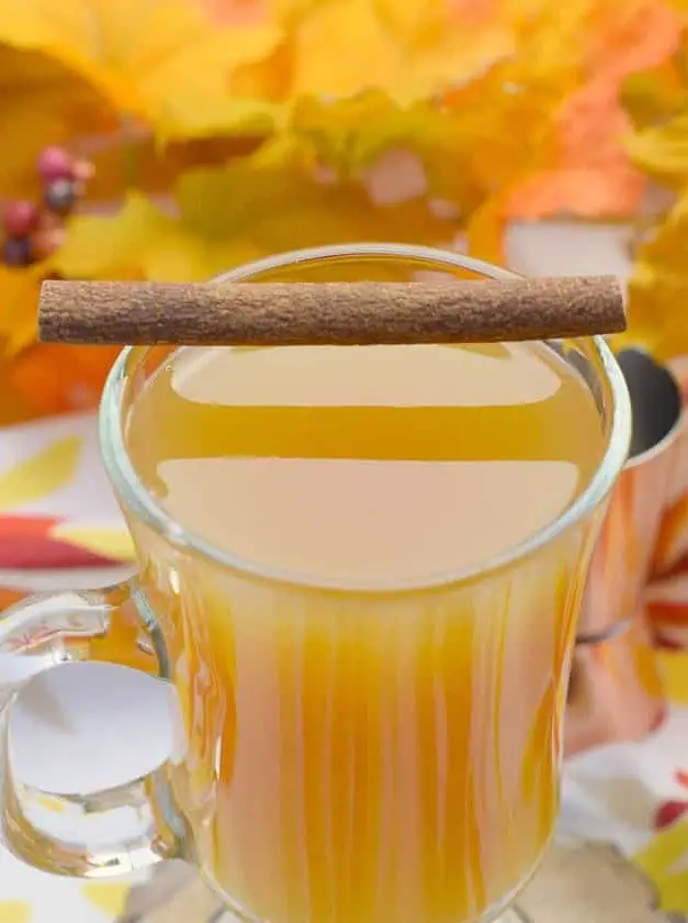 Spiked Slow Cooker Caramel Apple Cider