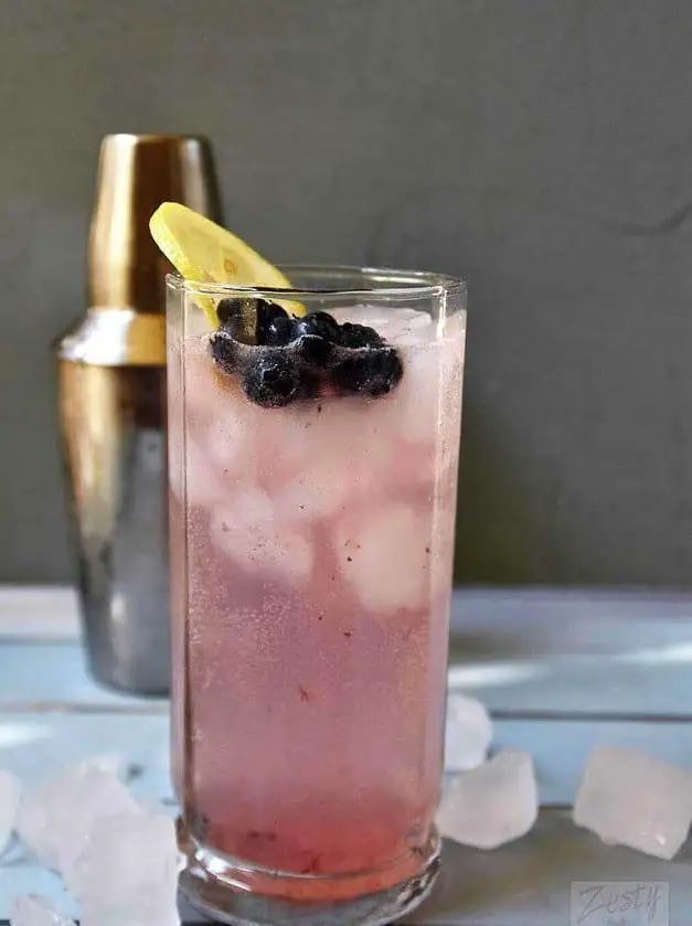 Blueberry Honey Vodka Fizz