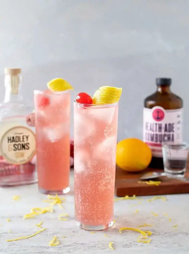 Pomegranate Kombucha Gin Fizz