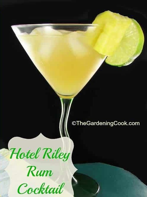 Hotel Riley Rum Cocktail