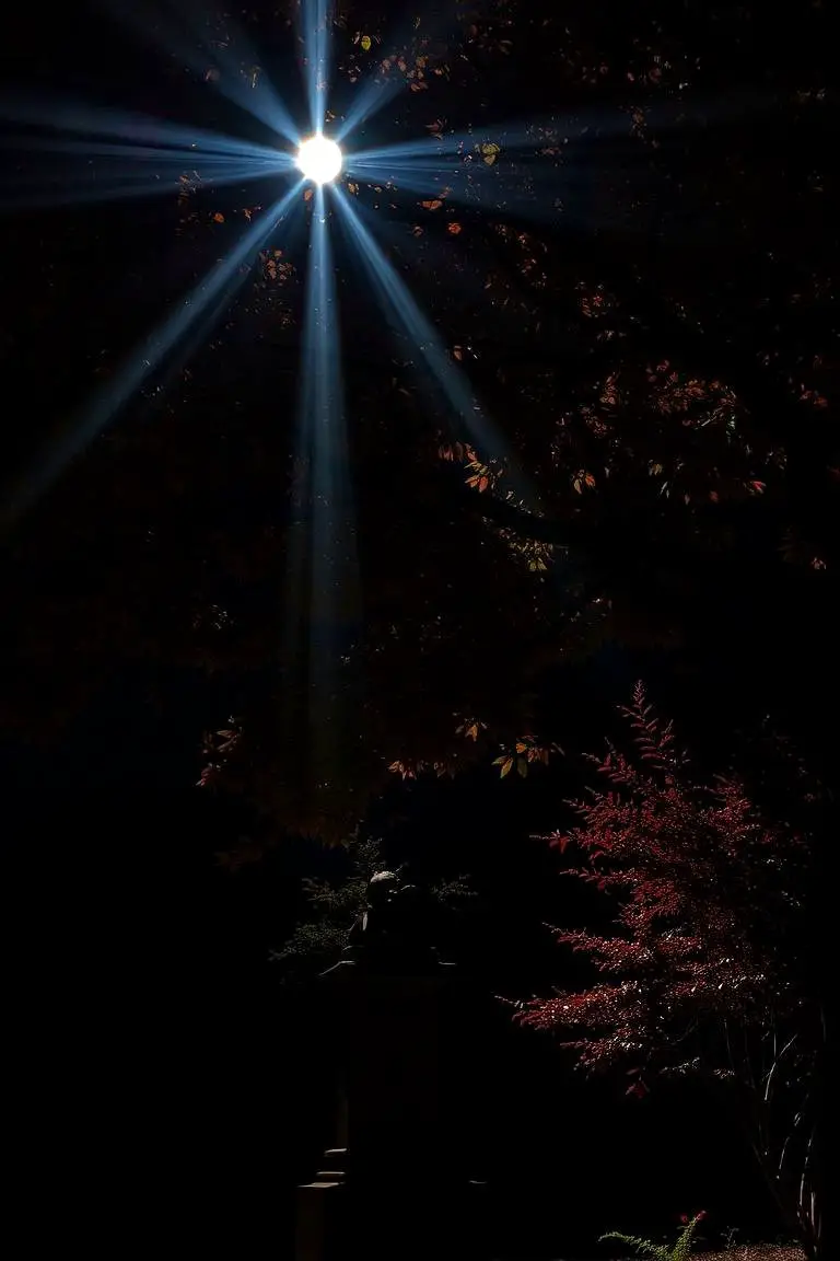 Landscape Spotlighting