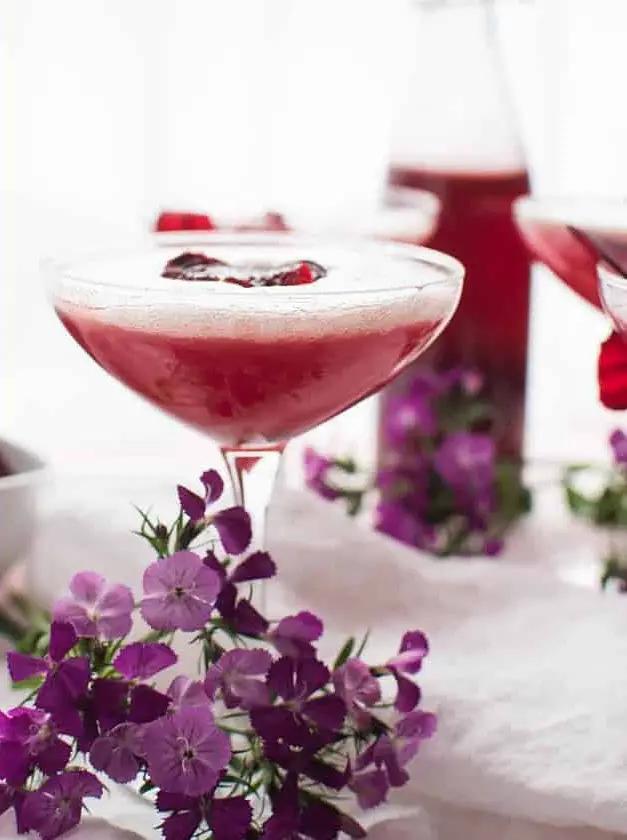 Sweet Beet + Gin Martini