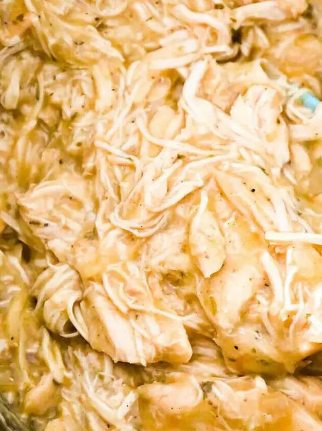 Crock Pot Chicken and Gravy