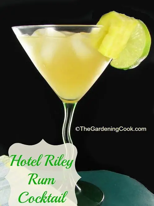 Hotel Riley Rum Cocktail