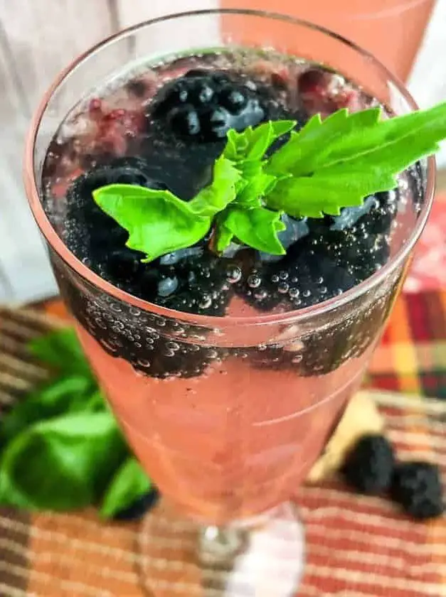 Sparkling Summer Blackberry Basil Cocktail