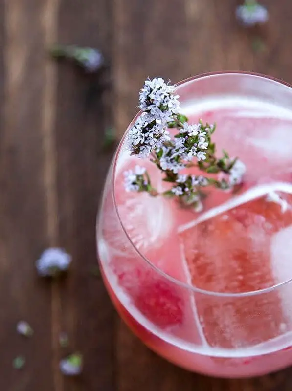 Raspberry Gin Fizz