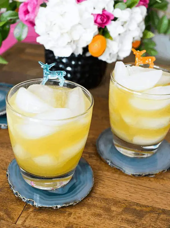 Apple Bourbon Cocktail