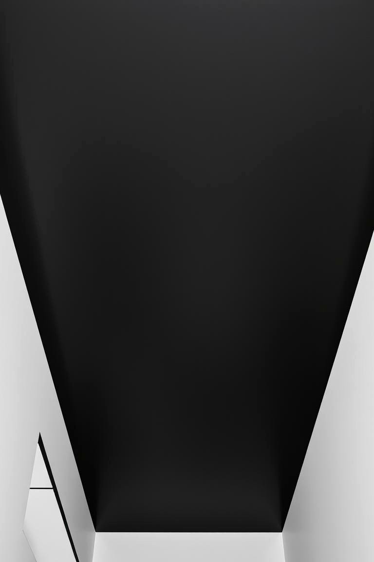 Sophisticated Black Paneling Design