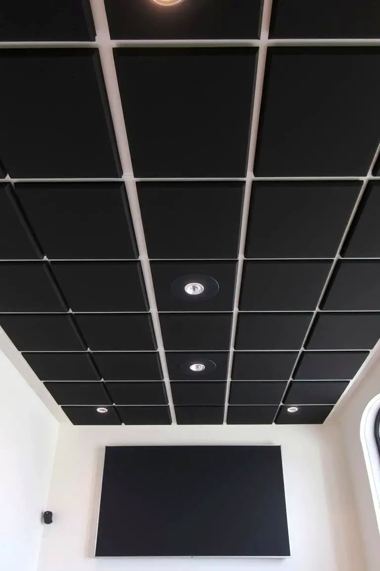 Black Acoustic Ceiling Panels