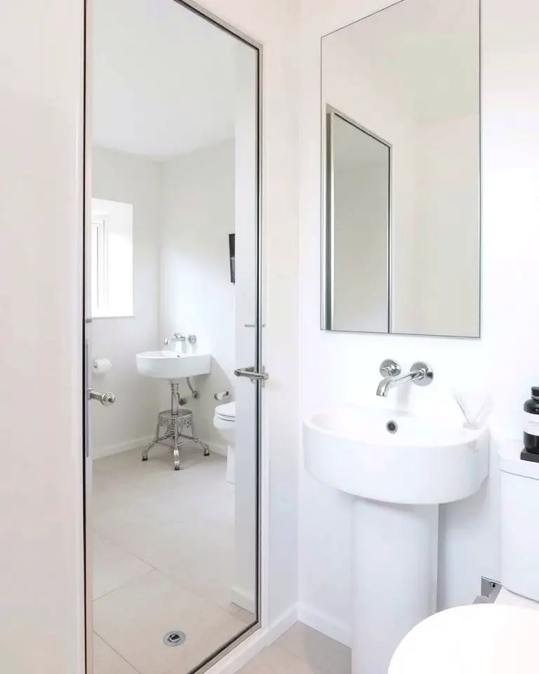 Mirrored Door for Dual Functionality